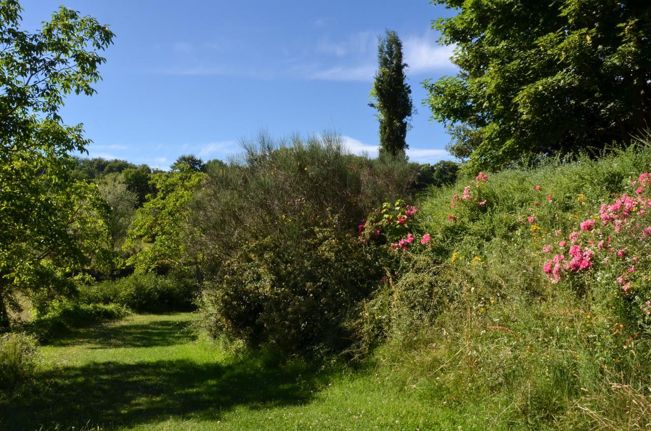 Agriturismo Villa Mozart Nel Verde Gubbio Eksteriør billede
