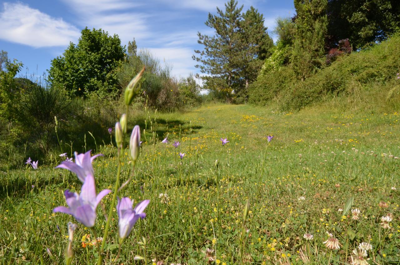 Agriturismo Villa Mozart Nel Verde Gubbio Eksteriør billede