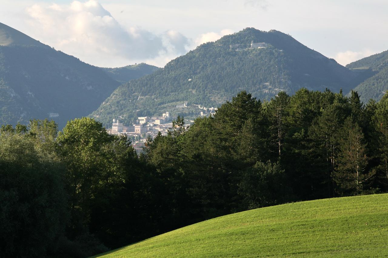 Agriturismo Villa Mozart Nel Verde Gubbio Eksteriør billede