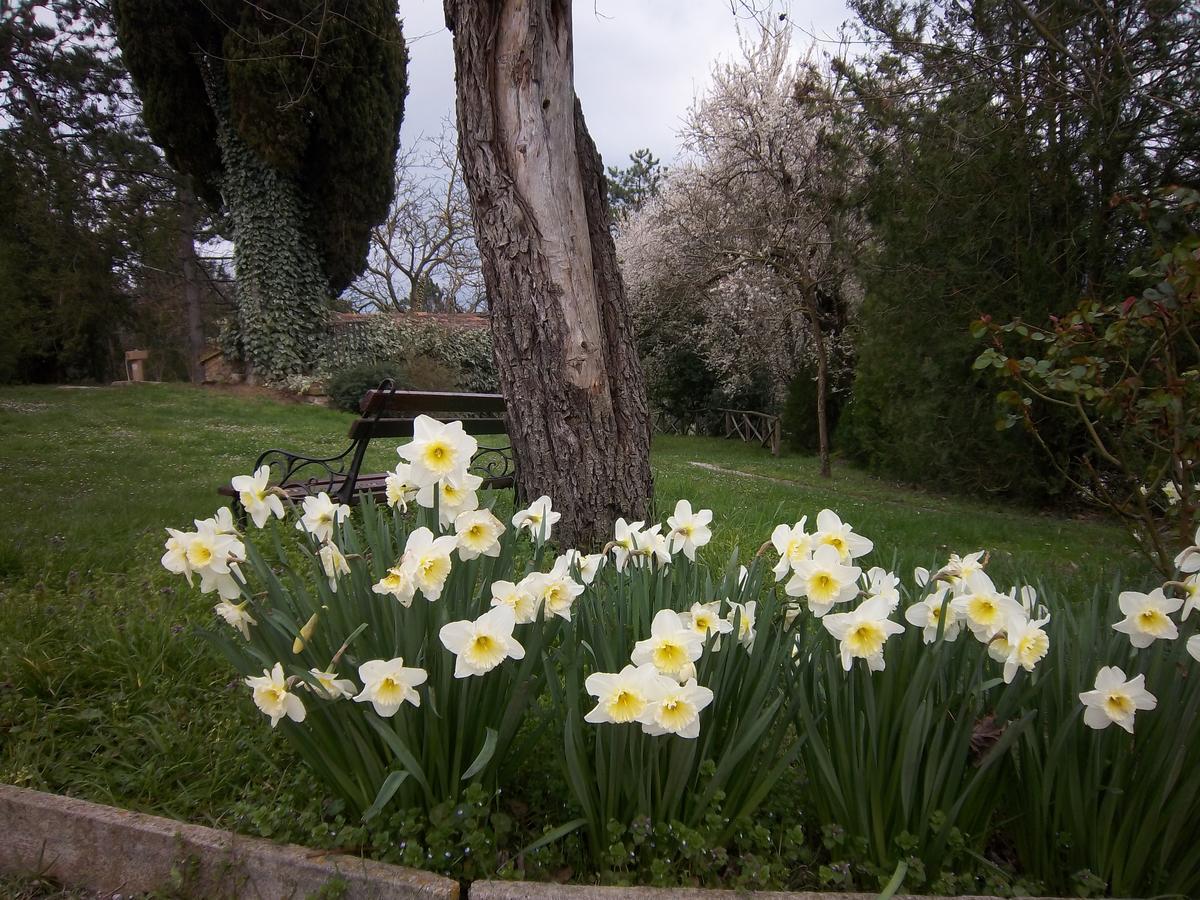 Agriturismo Villa Mozart Nel Verde Gubbio Eksteriør billede