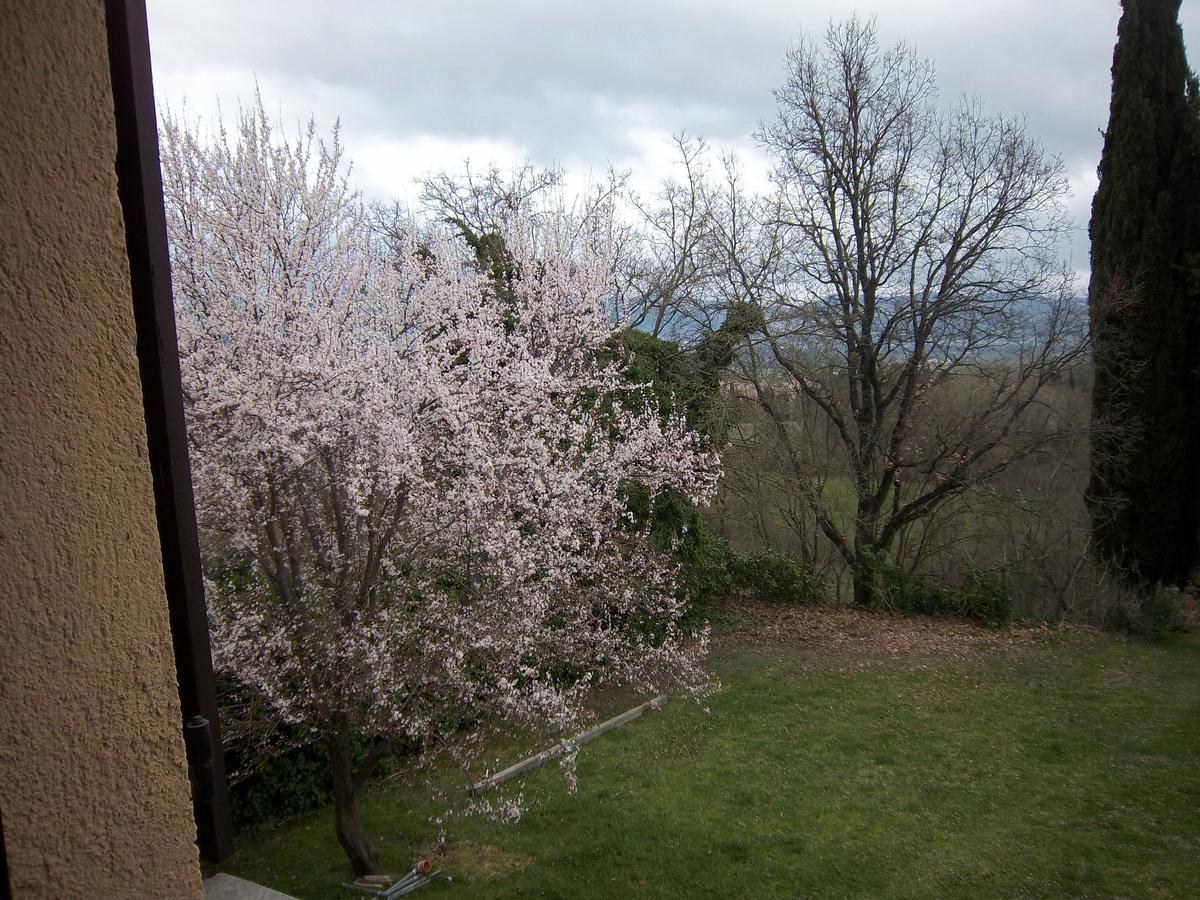 Agriturismo Villa Mozart Nel Verde Gubbio Eksteriør billede