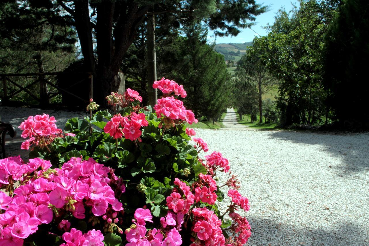 Agriturismo Villa Mozart Nel Verde Gubbio Eksteriør billede