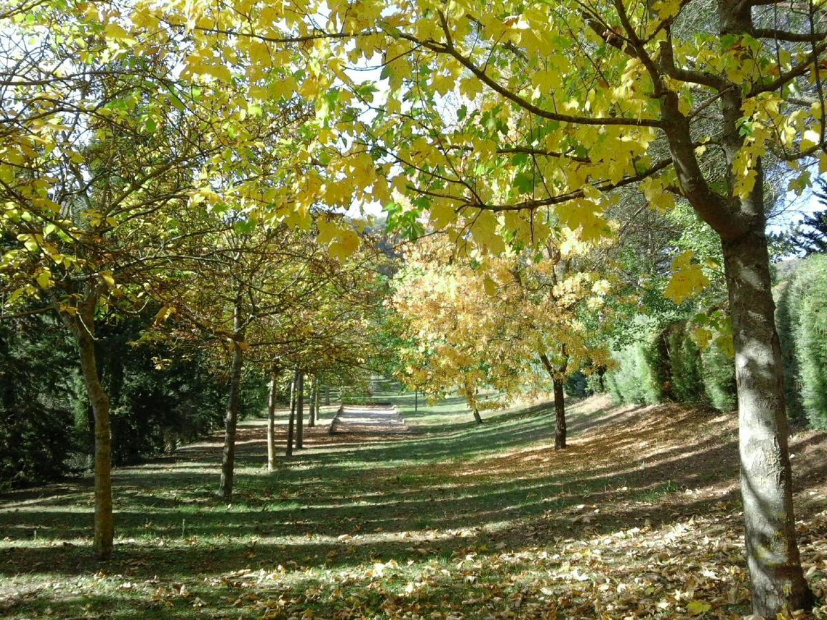 Agriturismo Villa Mozart Nel Verde Gubbio Eksteriør billede