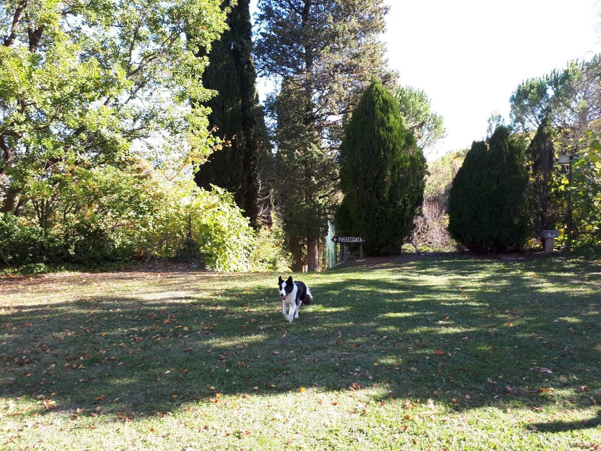 Agriturismo Villa Mozart Nel Verde Gubbio Eksteriør billede