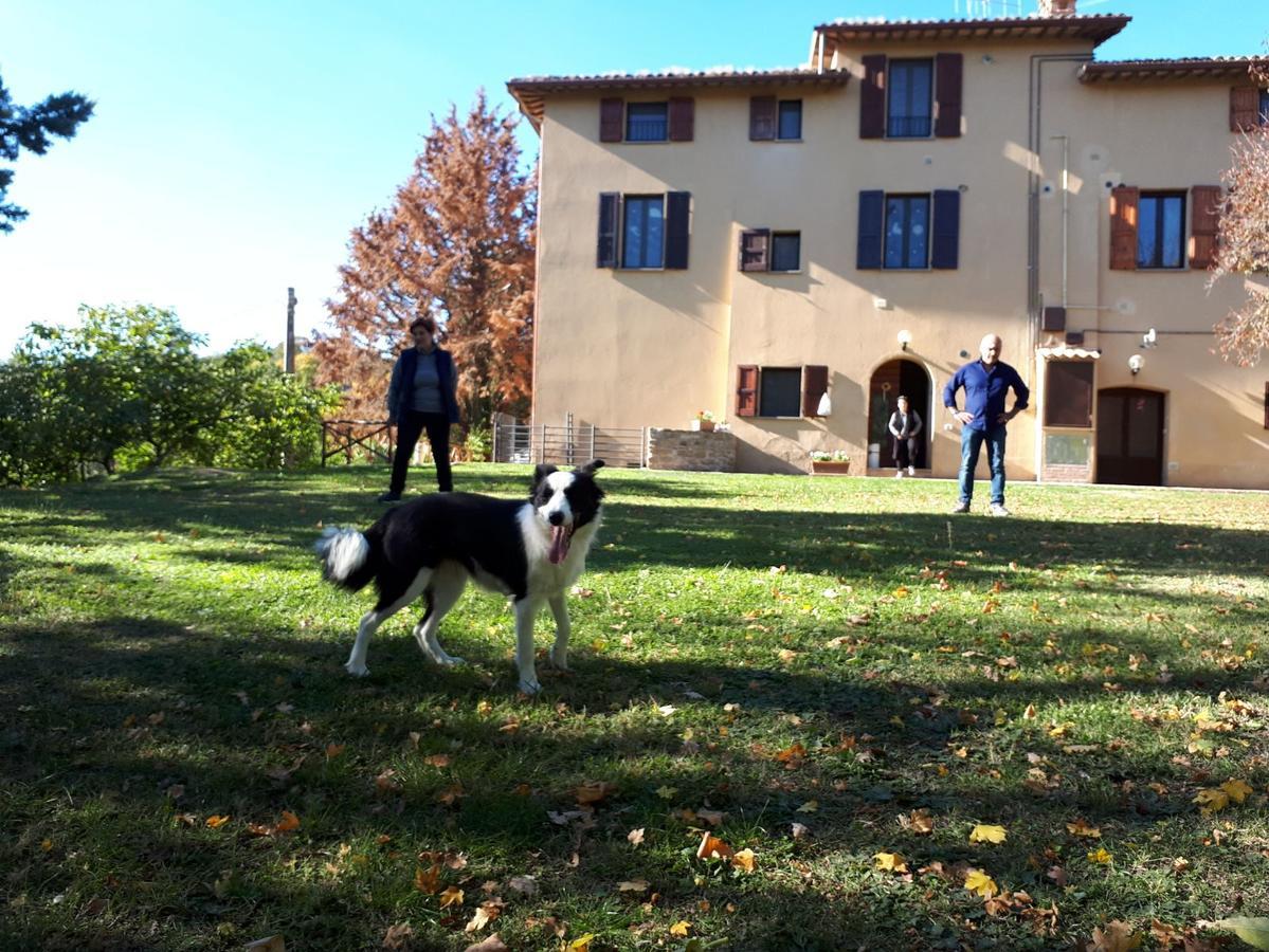 Agriturismo Villa Mozart Nel Verde Gubbio Eksteriør billede