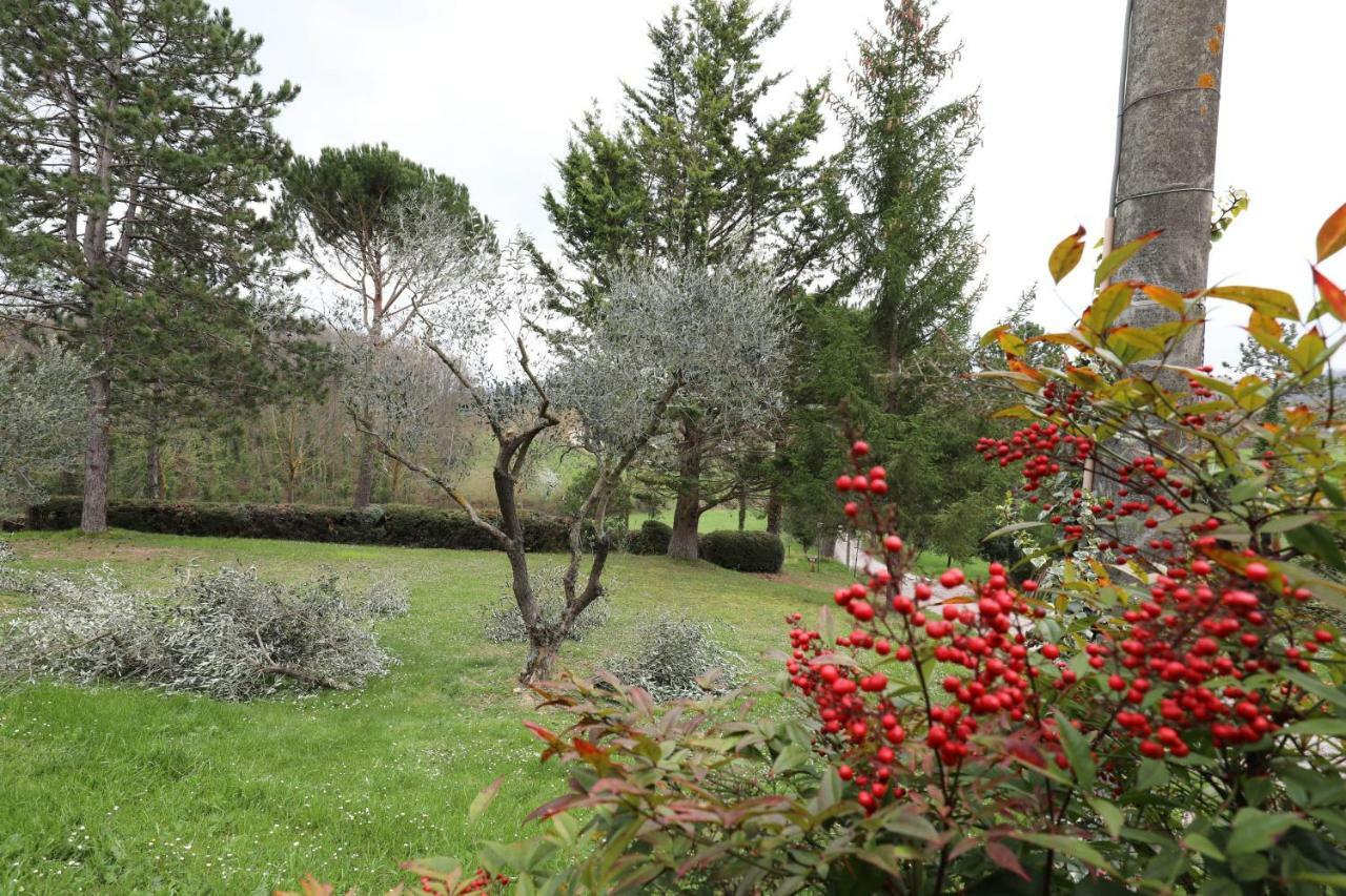 Agriturismo Villa Mozart Nel Verde Gubbio Eksteriør billede
