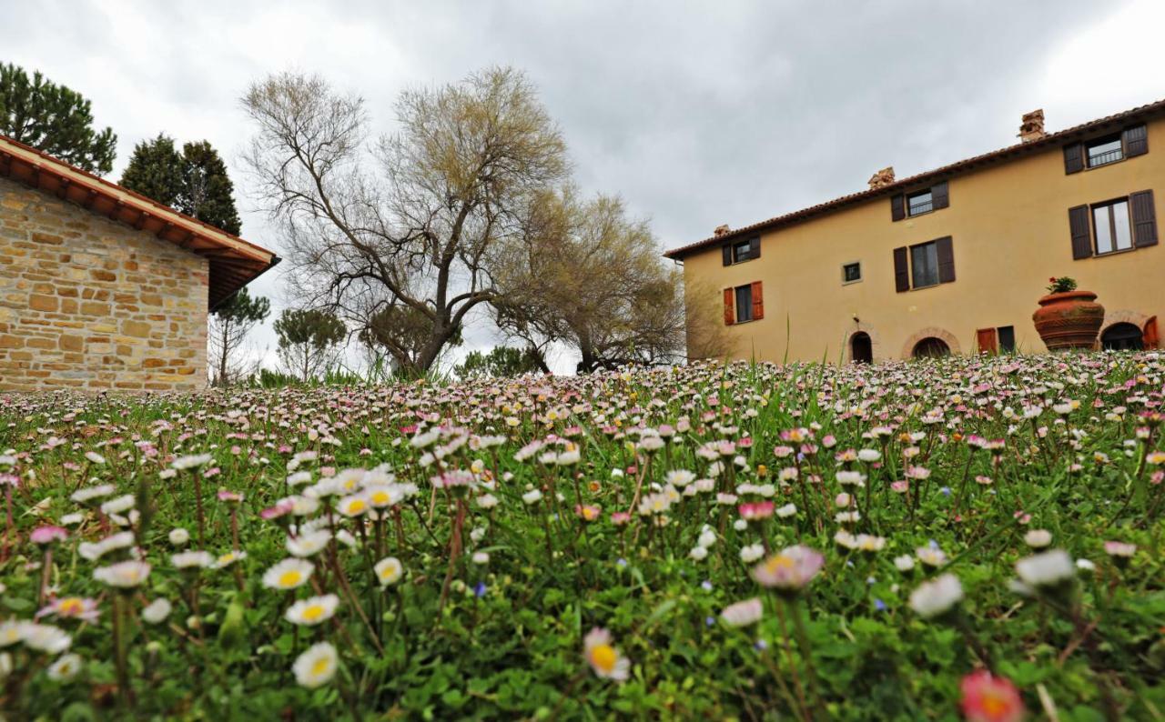Agriturismo Villa Mozart Nel Verde Gubbio Eksteriør billede